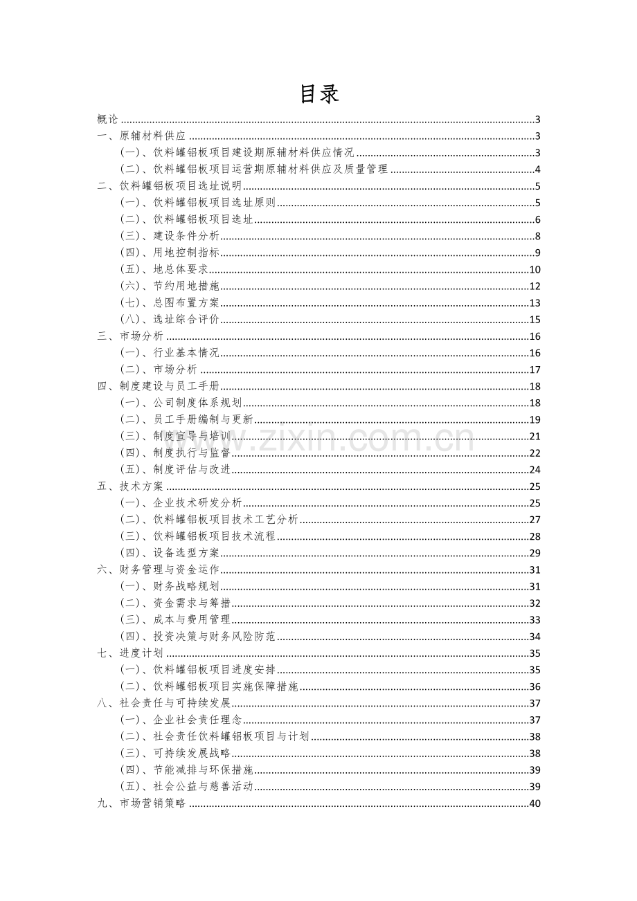 饮料罐铝板项目深度研究分析报告.docx_第2页