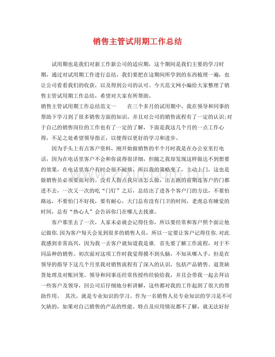 销售主管试用期工作总结 .docx_第1页