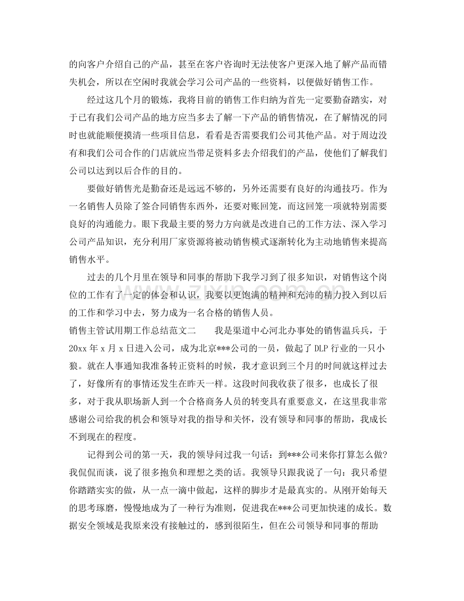 销售主管试用期工作总结 .docx_第2页