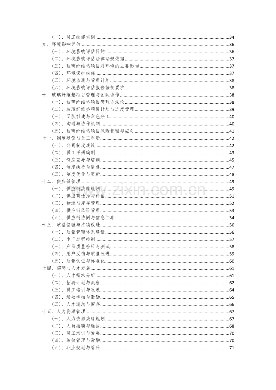 玻璃纤维垫项目可行性研究报告.docx_第3页