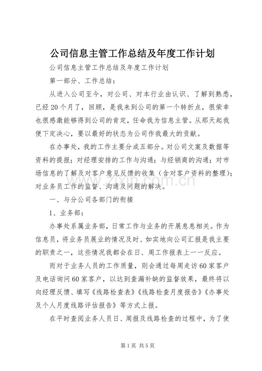 公司信息主管工作总结及年度工作计划.docx_第1页