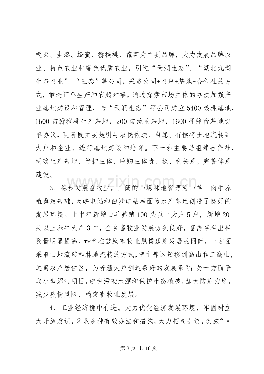 乡上半年工作总结及下半年工作计划_1.docx_第3页