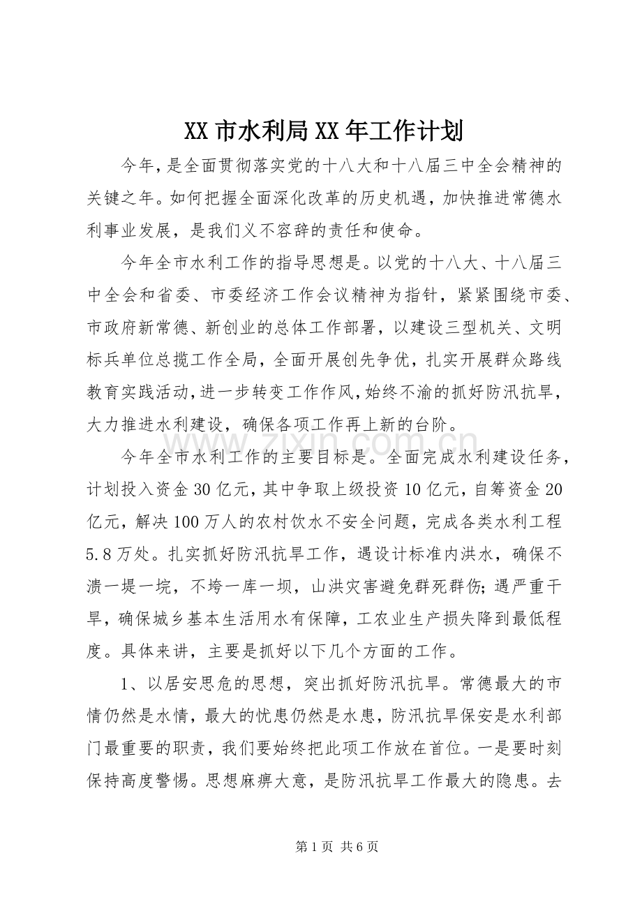 XX市水利局XX年工作计划 .docx_第1页