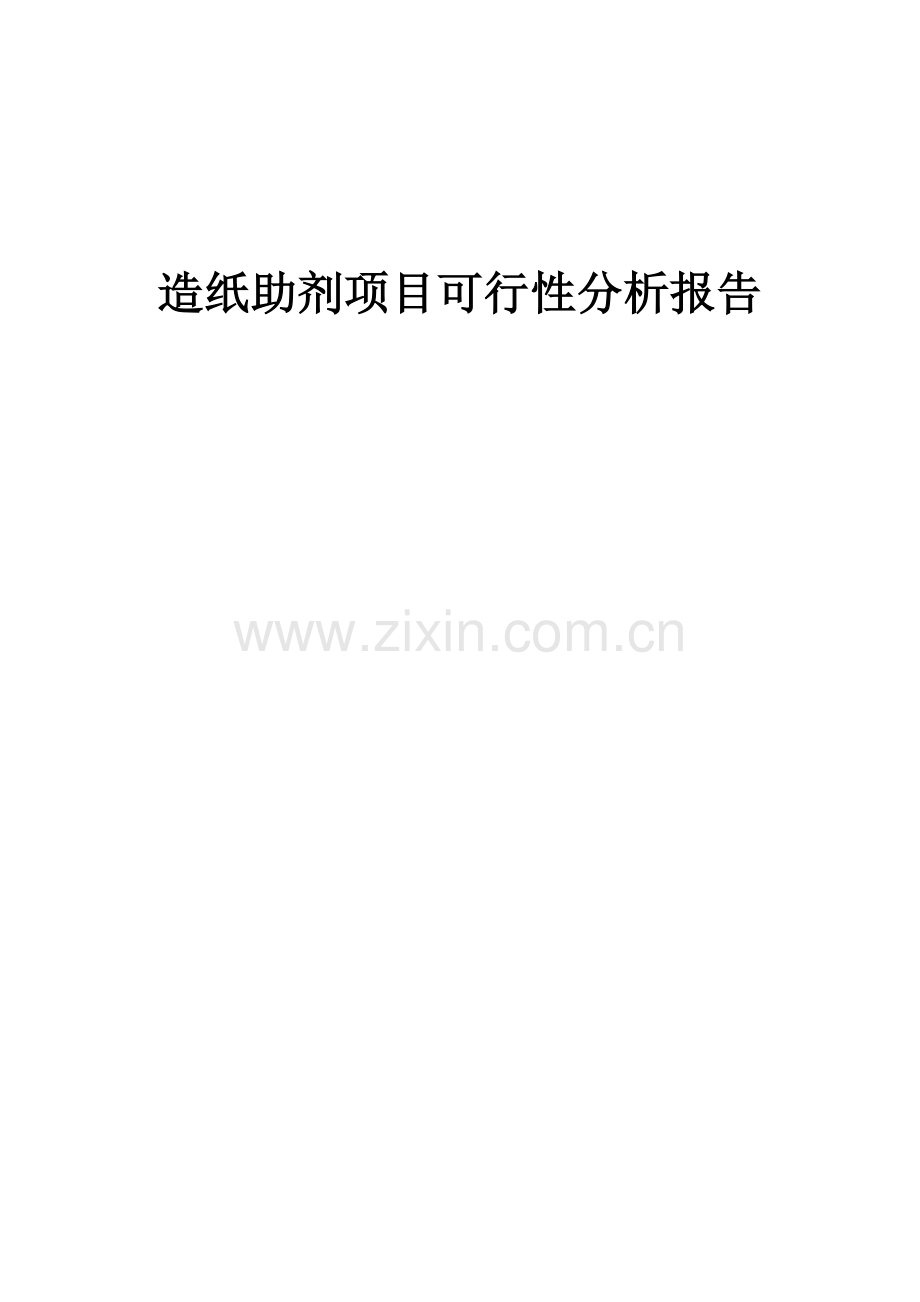 造纸助剂项目可行性分析报告.docx_第1页