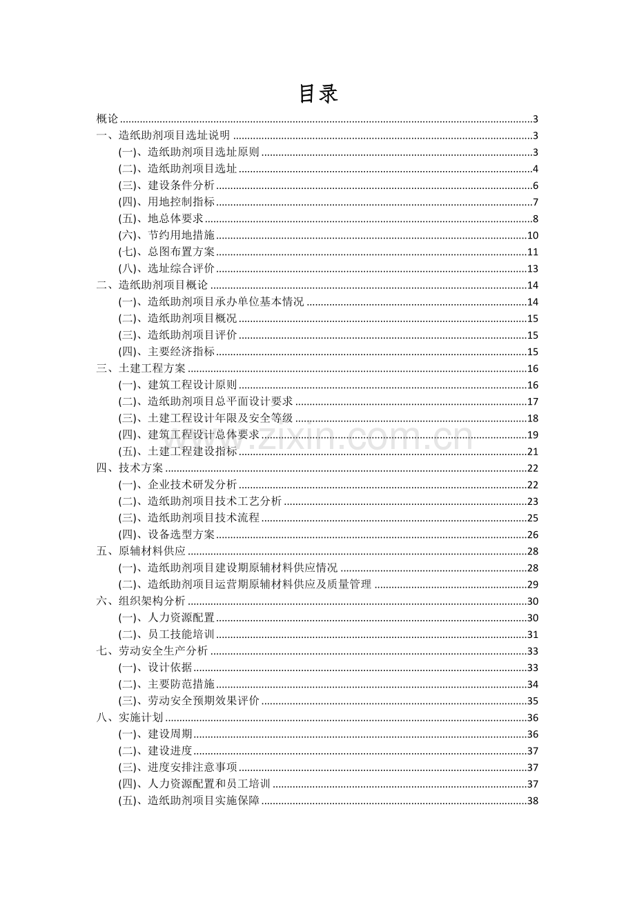 造纸助剂项目可行性分析报告.docx_第2页