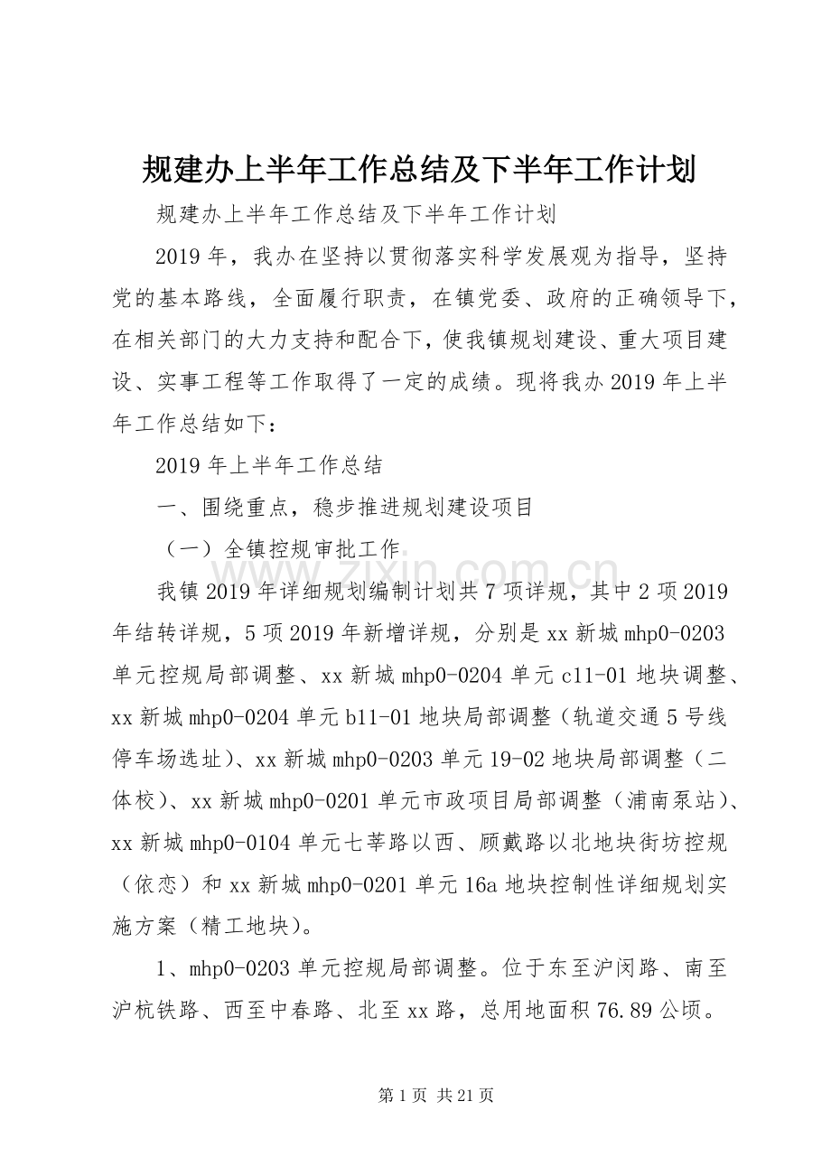 规建办上半年工作总结及下半年工作计划 .docx_第1页