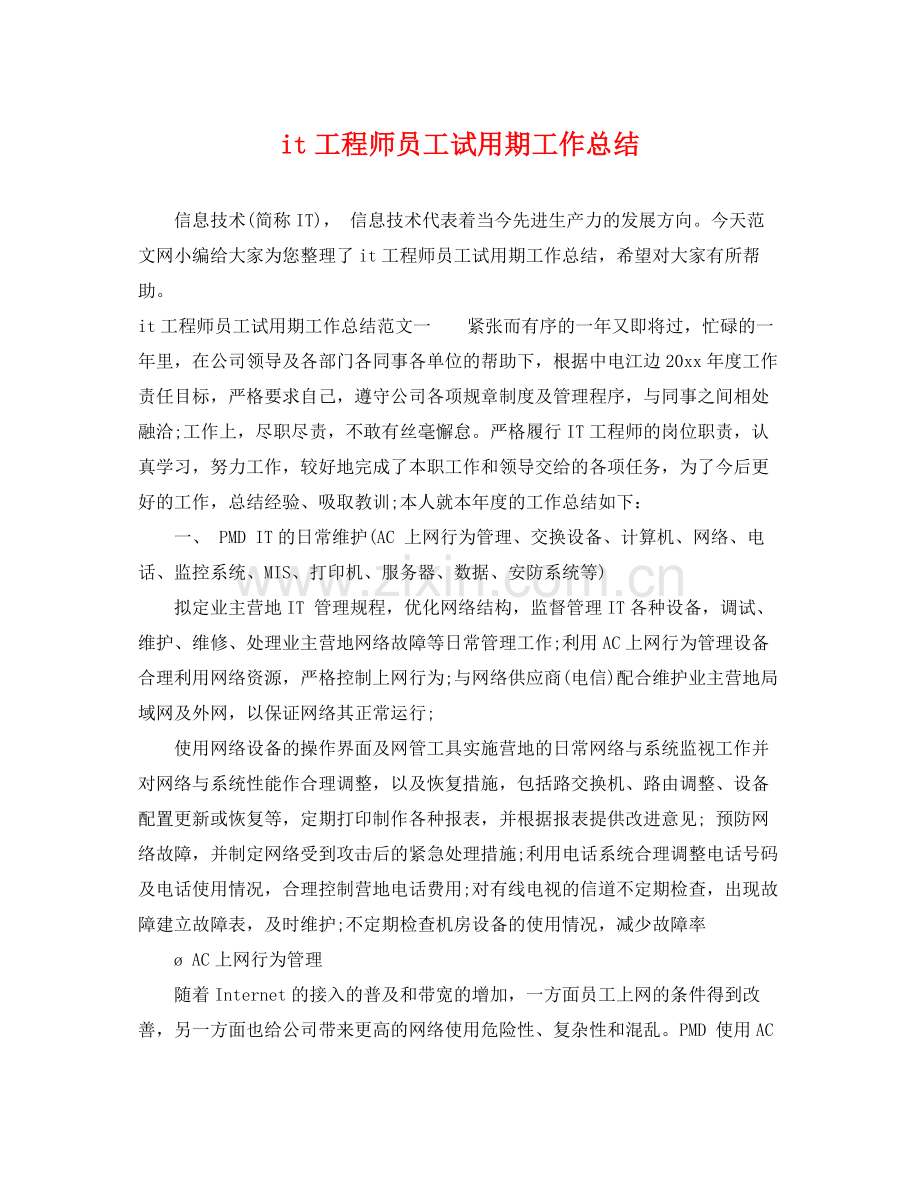 it工程师员工试用期工作总结 .docx_第1页