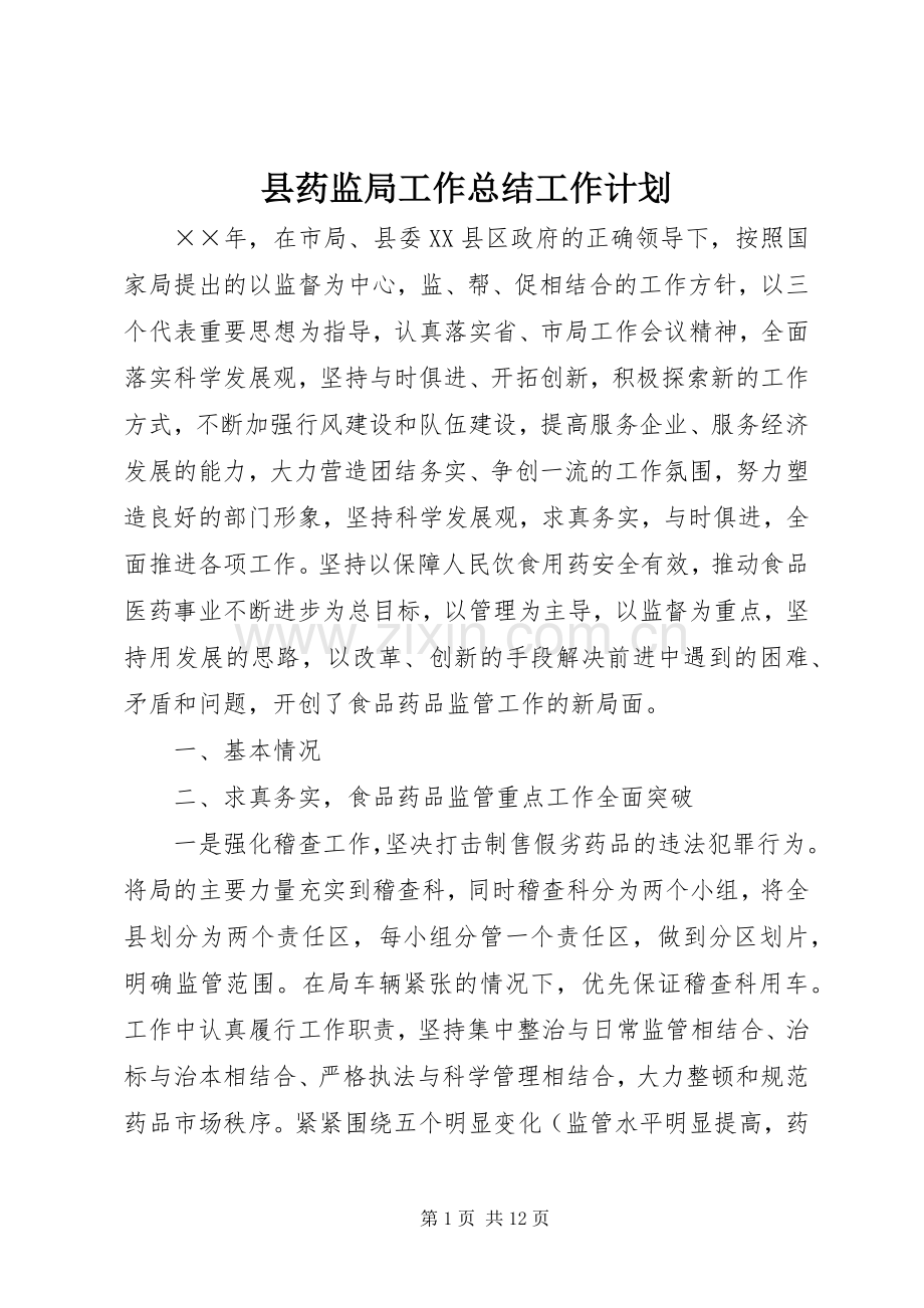 县药监局工作总结工作计划 .docx_第1页