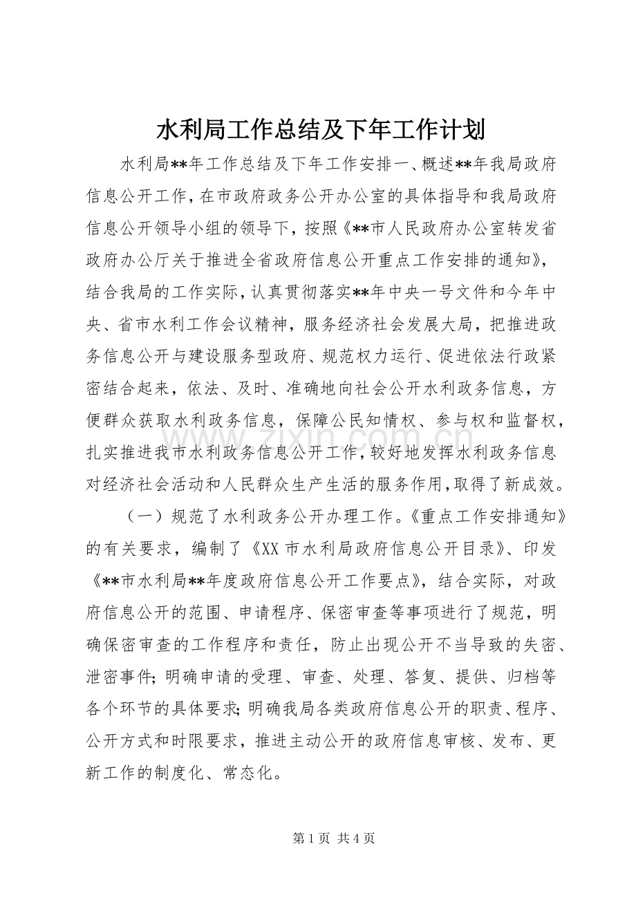 水利局工作总结及下年工作计划.docx_第1页