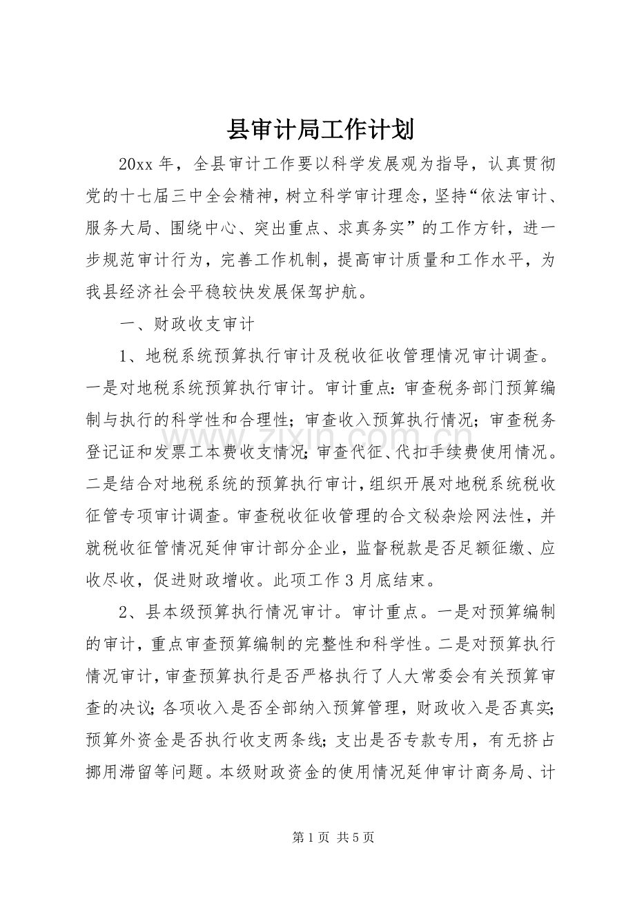 县审计局工作计划 .docx_第1页