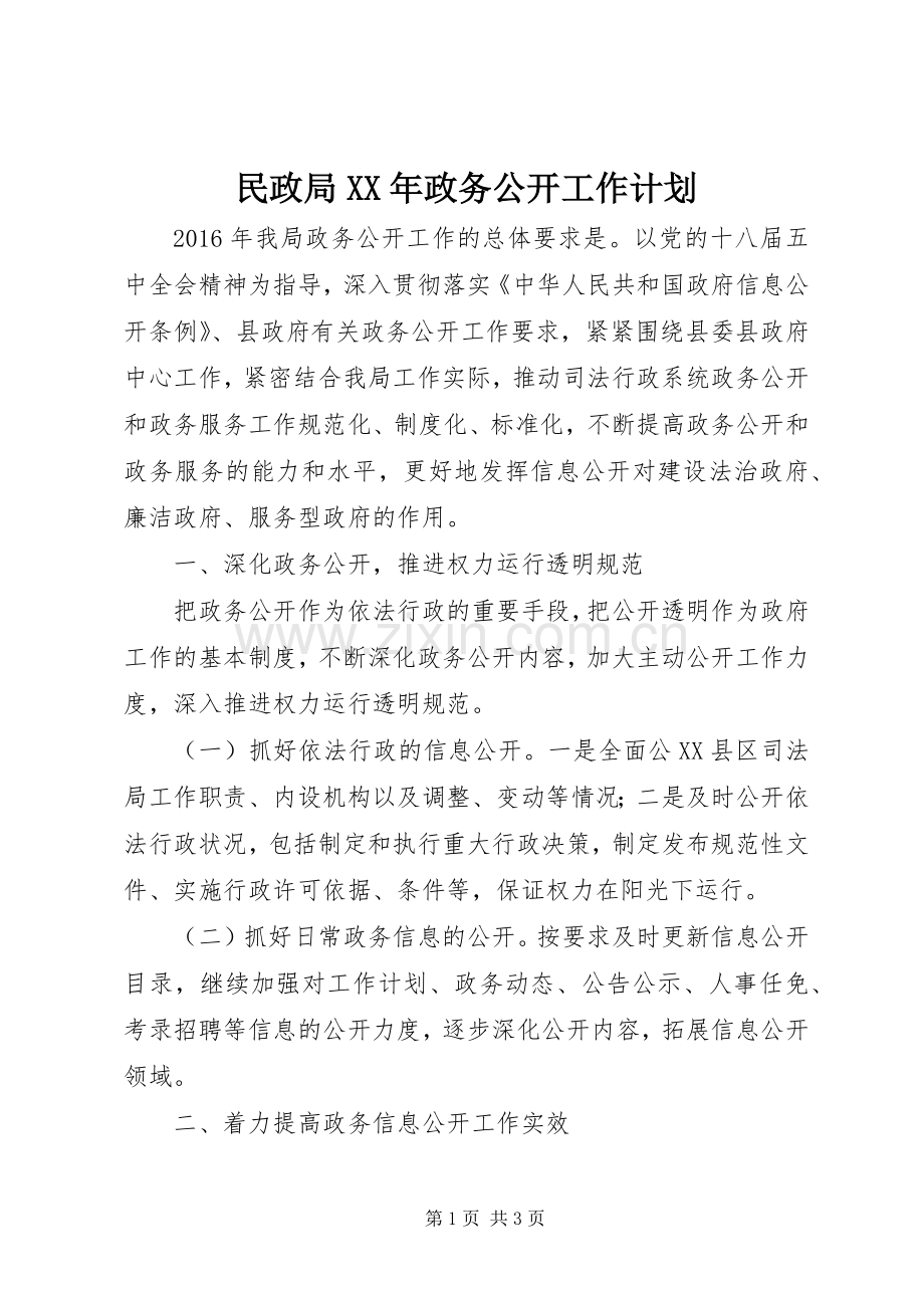 民政局XX年政务公开工作计划.docx_第1页