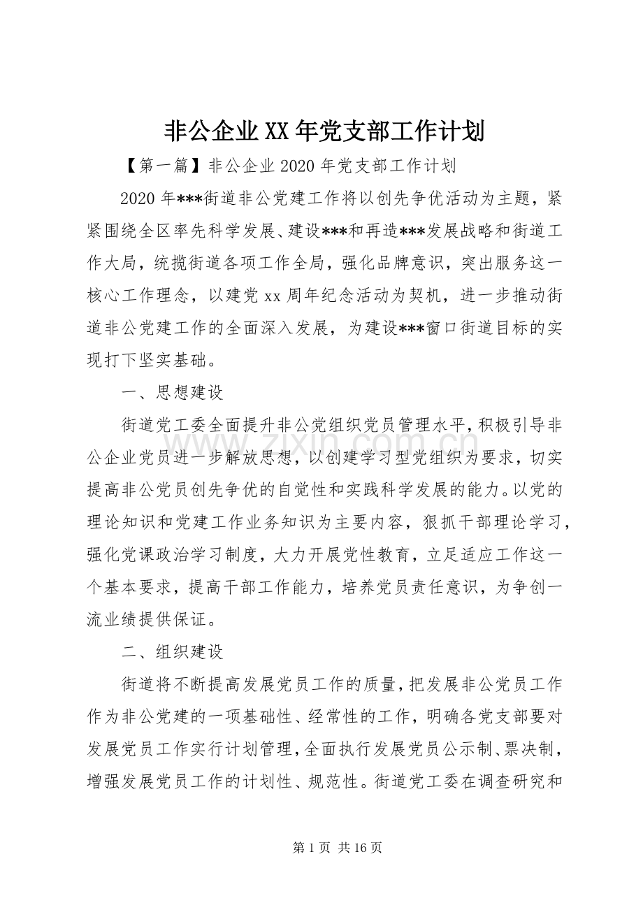 非公企业XX年党支部工作计划.docx_第1页