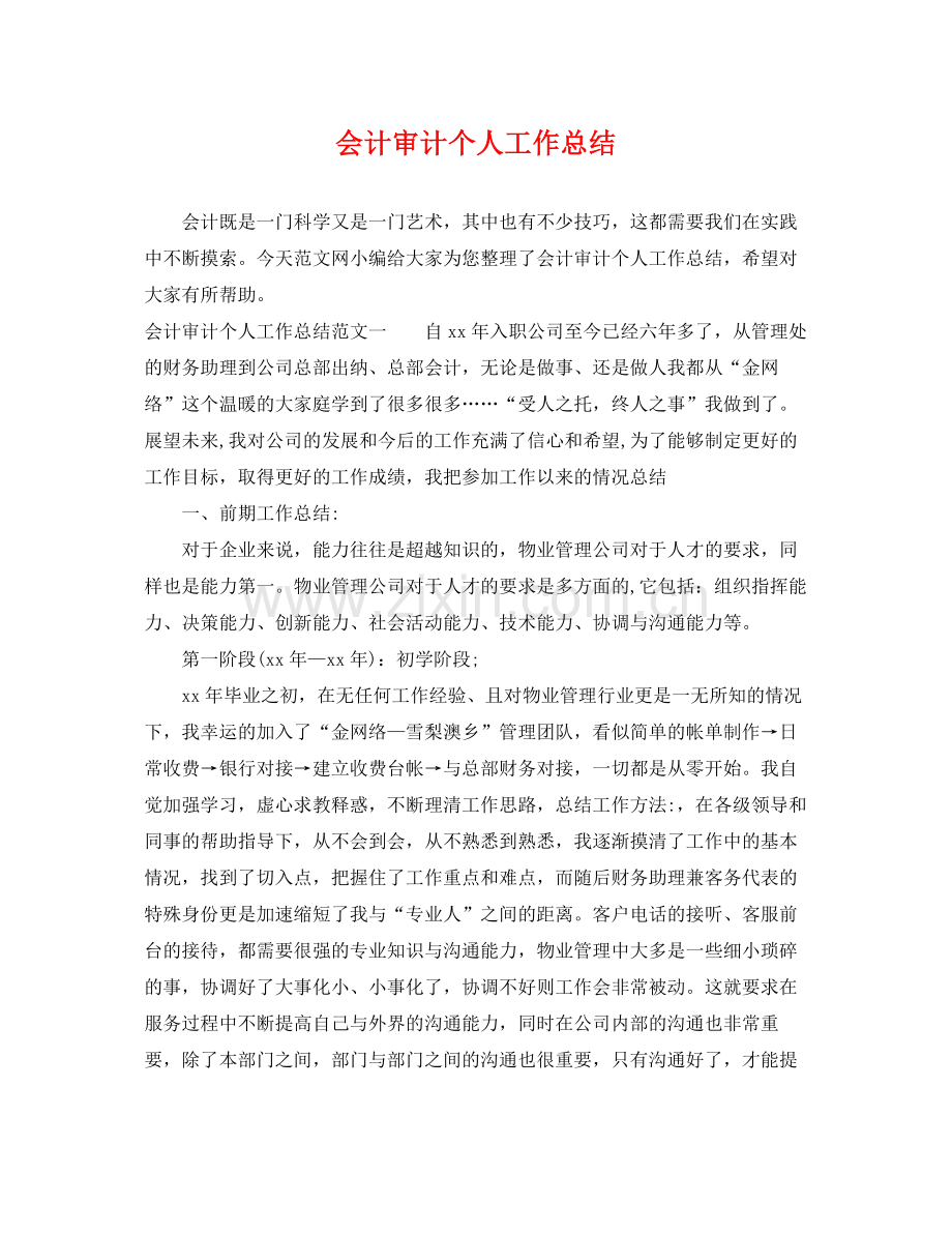 会计审计个人工作总结 .docx_第1页