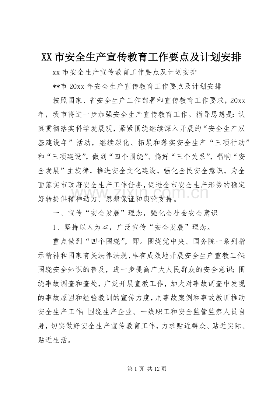 XX市安全生产宣传教育工作要点及计划安排.docx_第1页