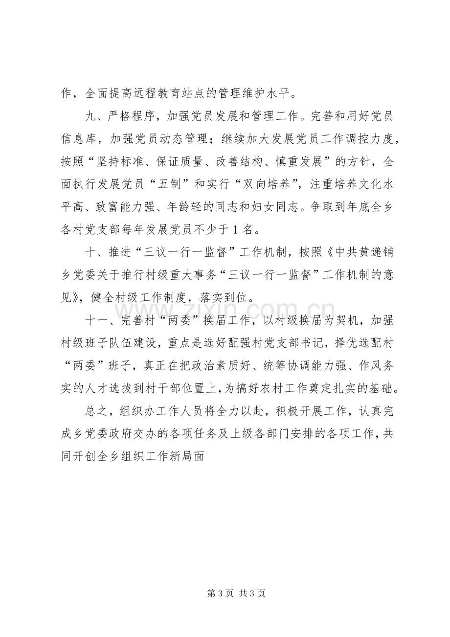 乡组织工作计划.docx_第3页