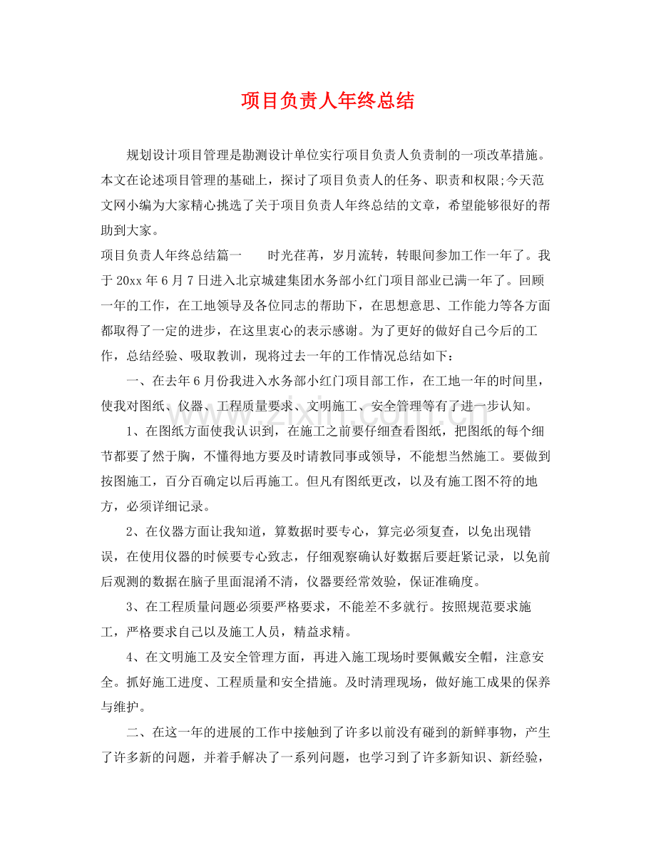 项目负责人年终总结 .docx_第1页