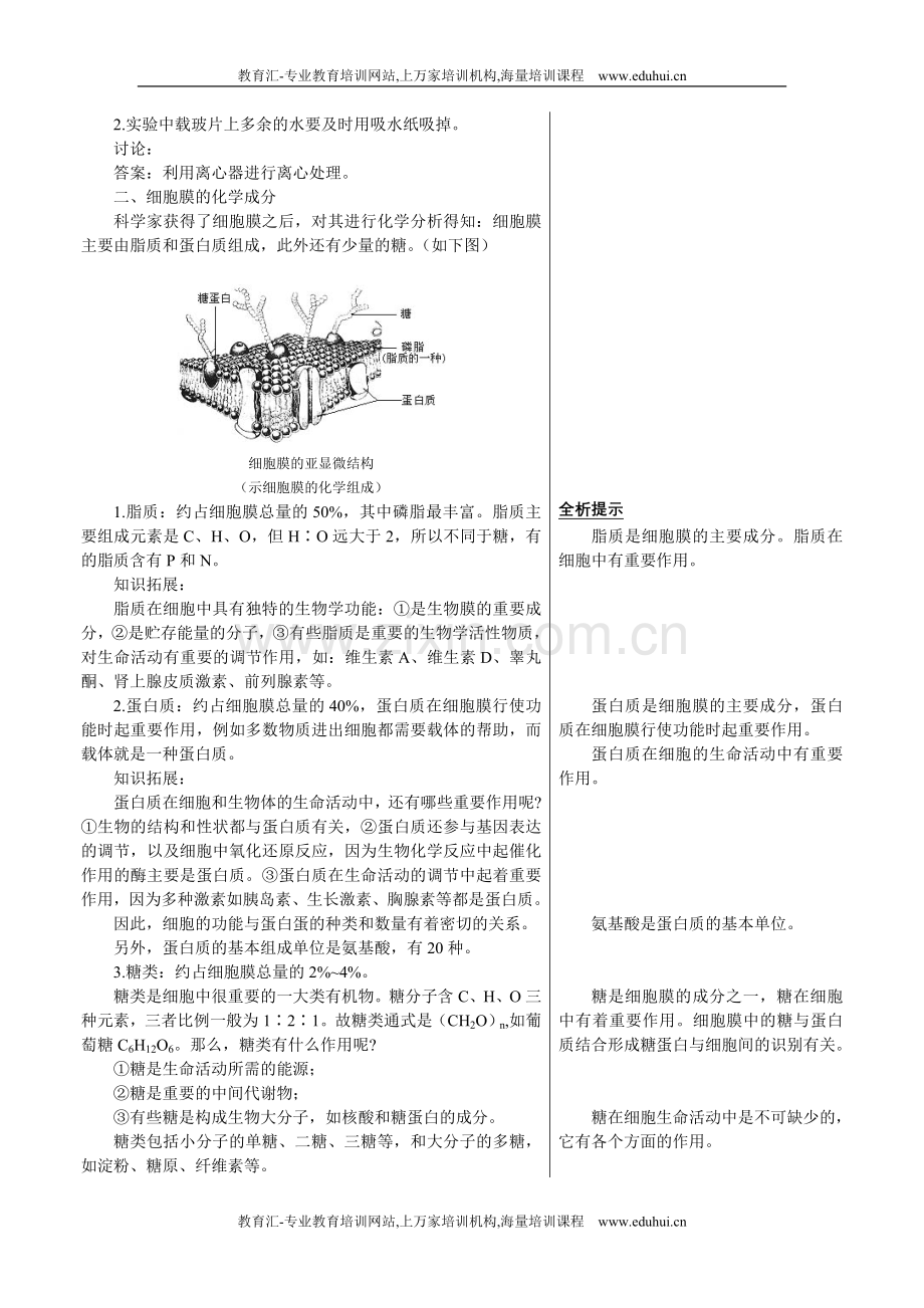 人教新课标高中生物必修一章节知识要点（细胞膜——系统的边界）.doc_第2页