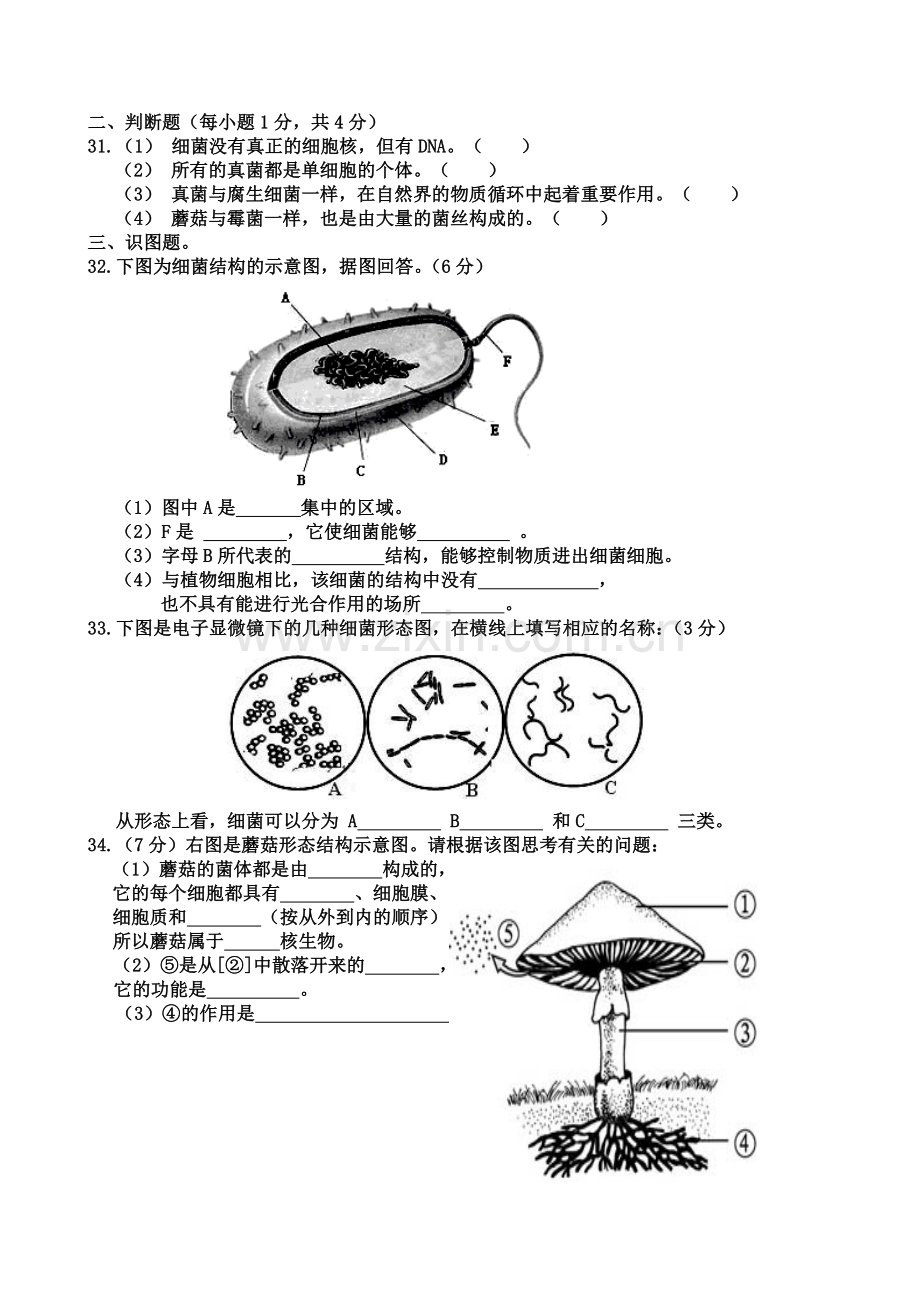 人教版八年级生物上册《第四章细菌和真菌》测试卷.doc_第3页