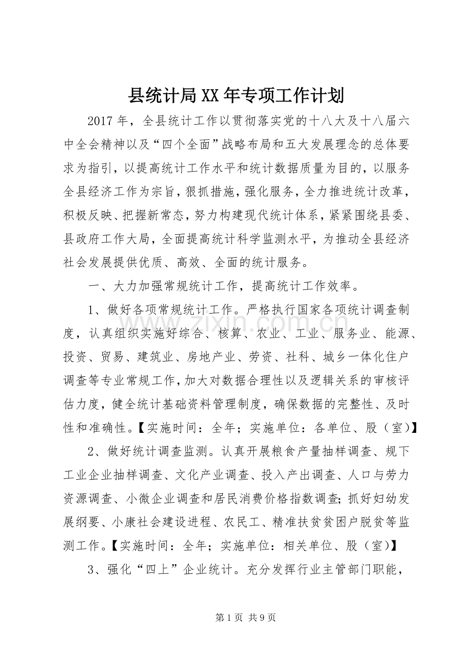 县统计局XX年专项工作计划.docx_第1页