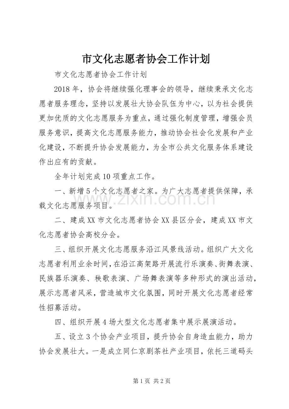 市文化志愿者协会工作计划 .docx_第1页