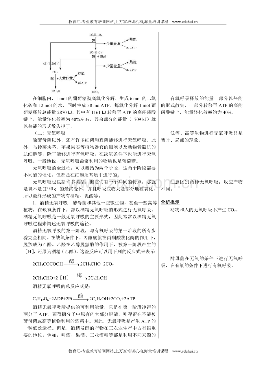 人教新课标高中生物必修一章节知识要点（ATP的主要来源——细胞呼吸）.doc_第3页