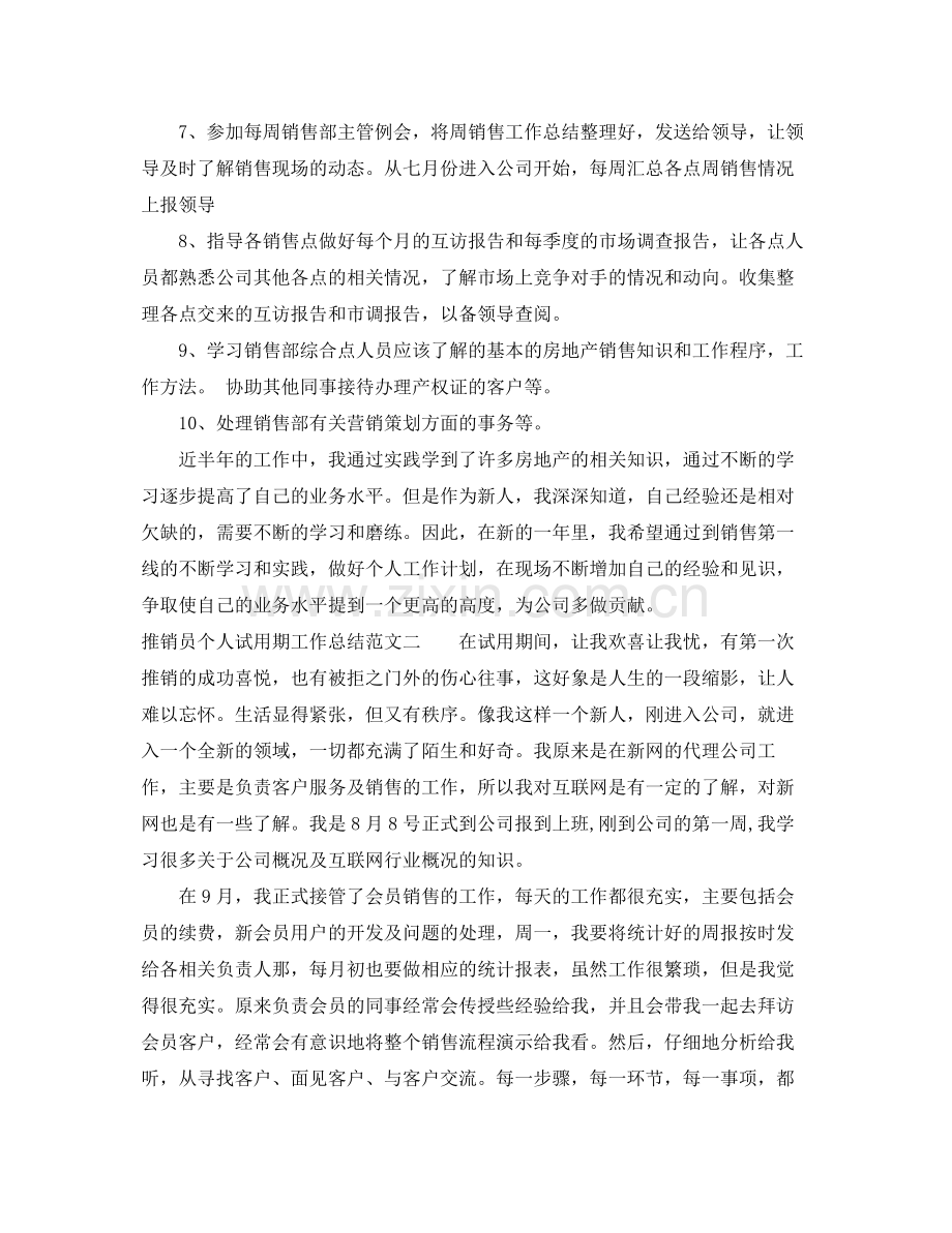 推销员个人试用期工作总结 .docx_第2页