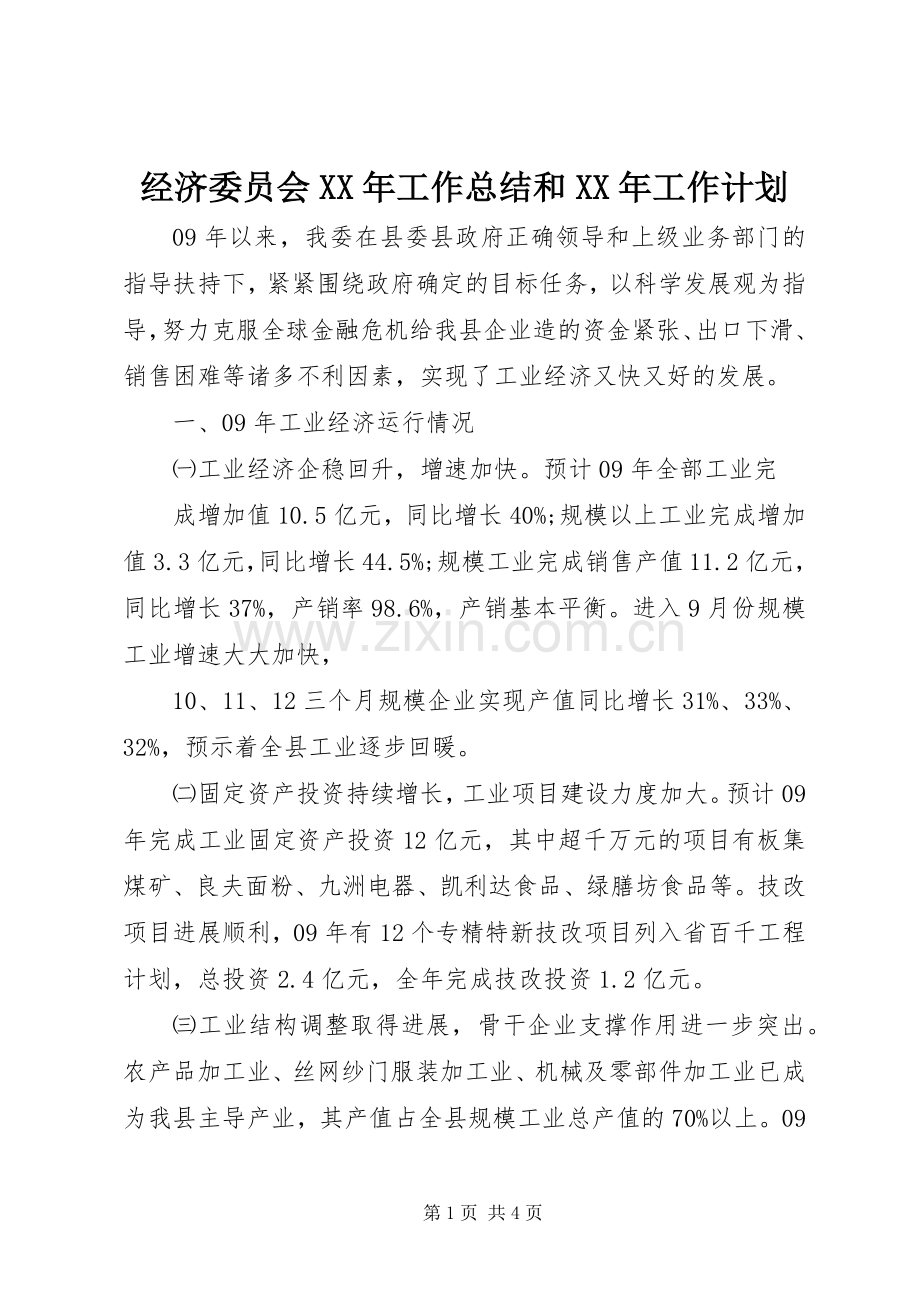 经济委员会XX年工作总结和XX年工作计划.docx_第1页