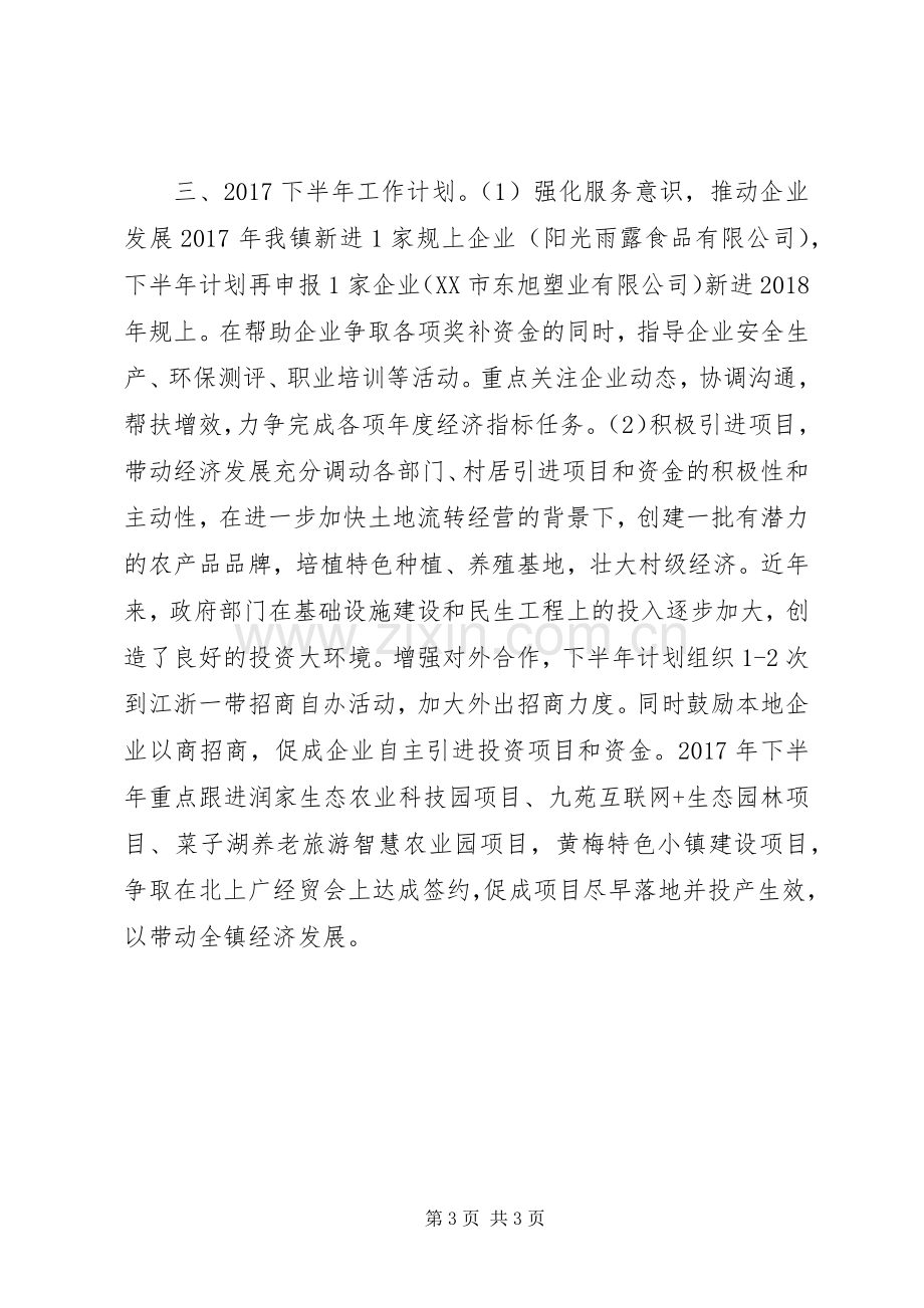 乡镇XX年上半年经济工作总结暨下半年工作计划.docx_第3页