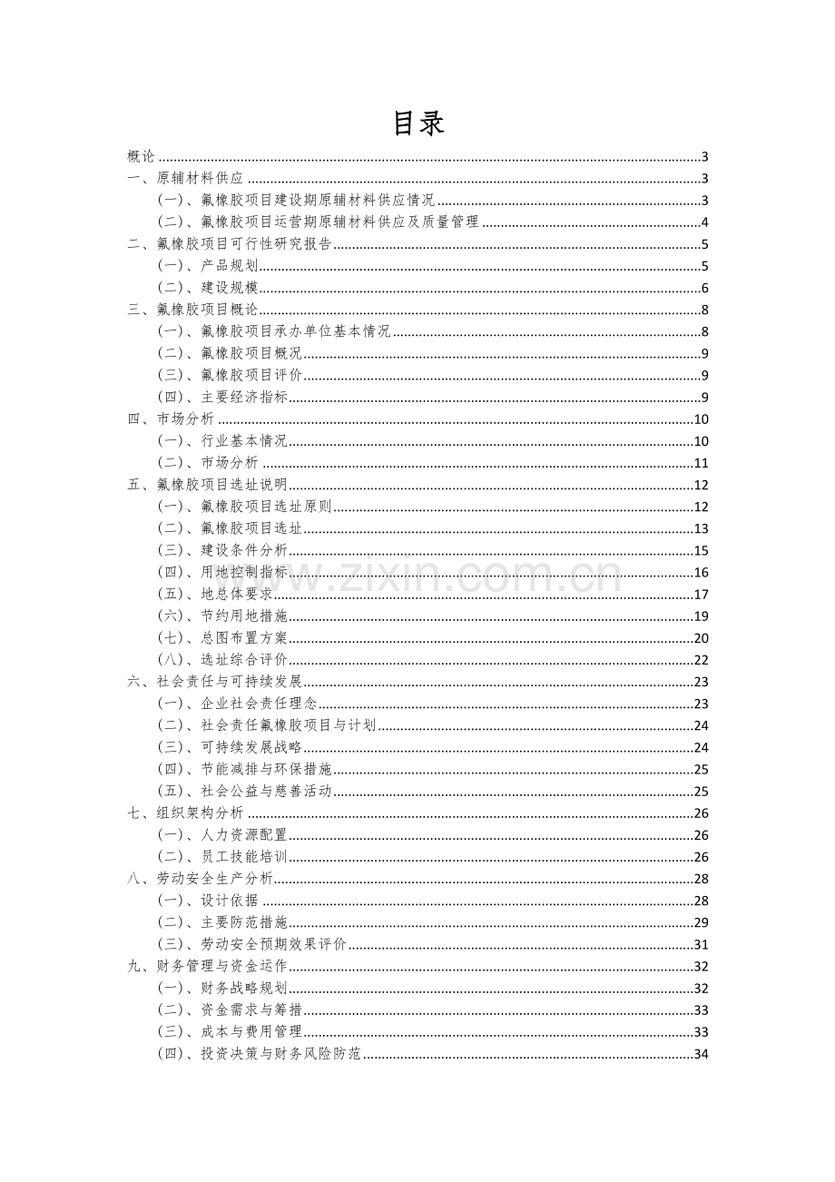 氟橡胶项目可行性研究报告.docx_第2页