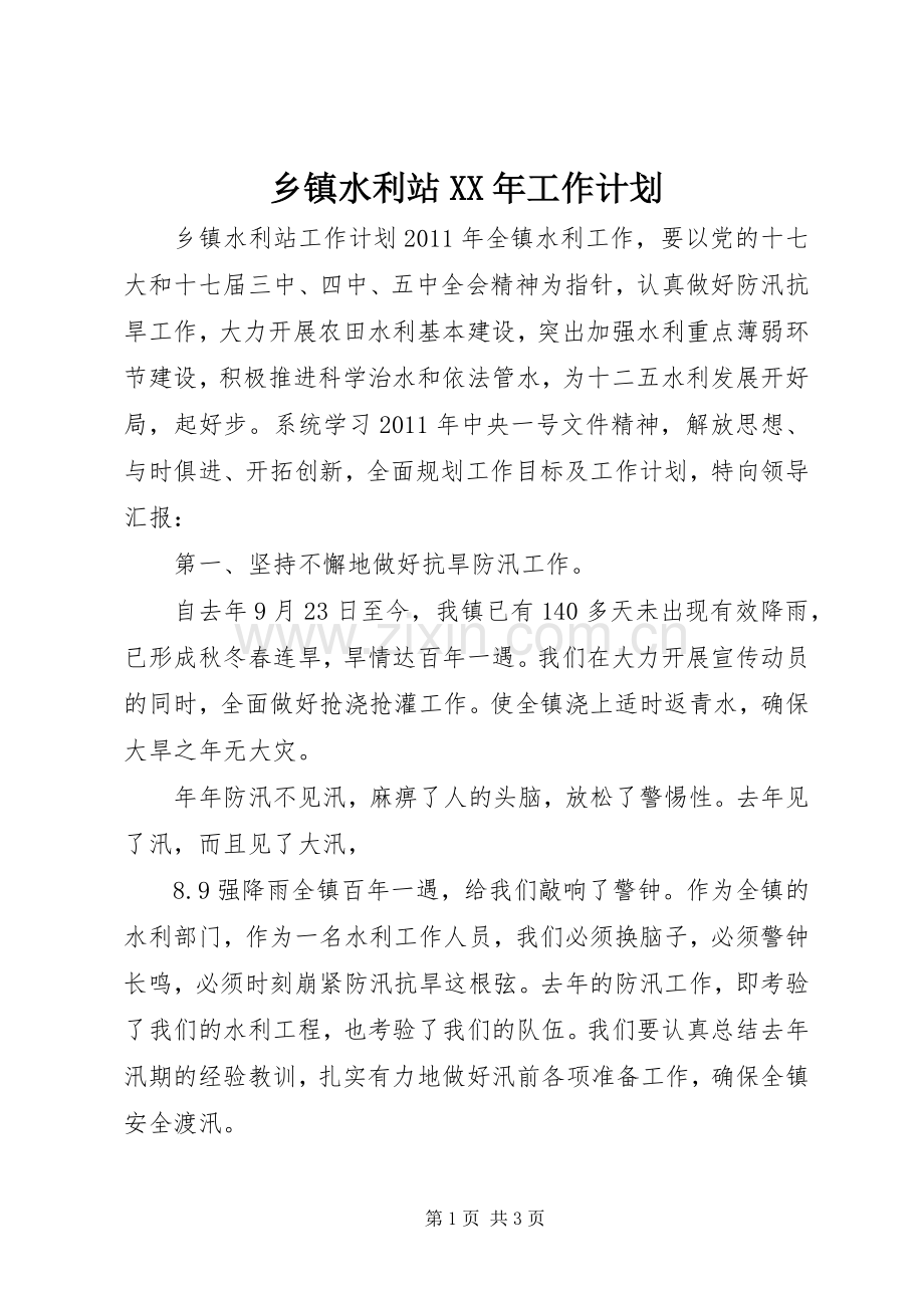 乡镇水利站XX年工作计划.docx_第1页