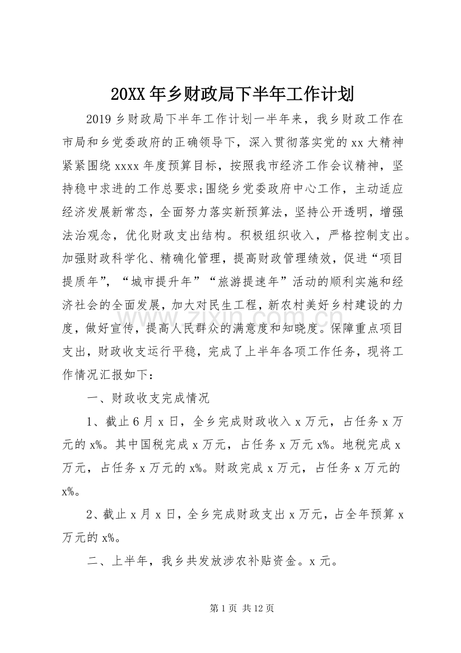 20XX年乡财政局下半年工作计划.docx_第1页