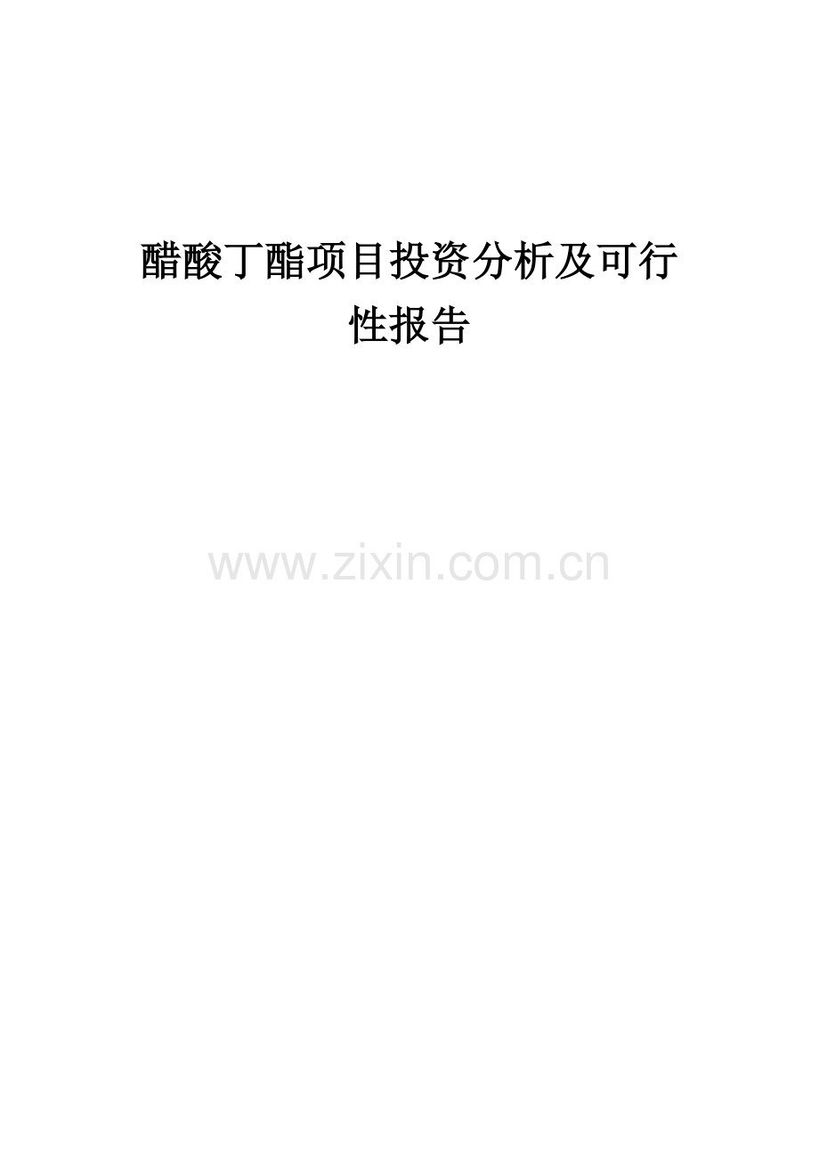 醋酸丁酯项目投资分析及可行性报告.docx_第1页