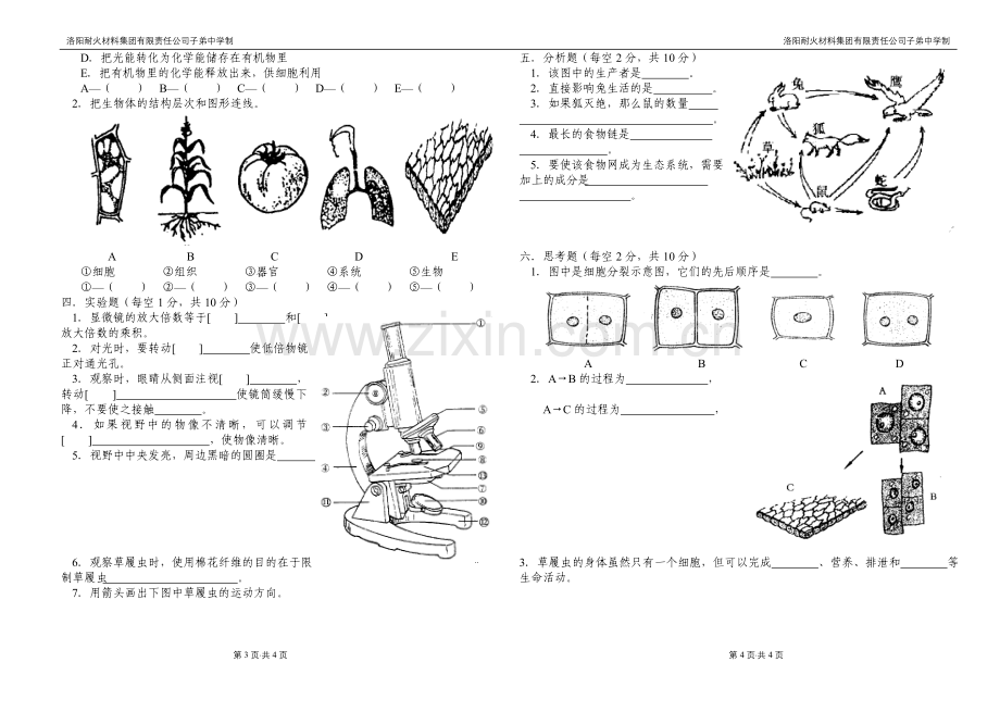 初一生物期中考试.doc_第2页