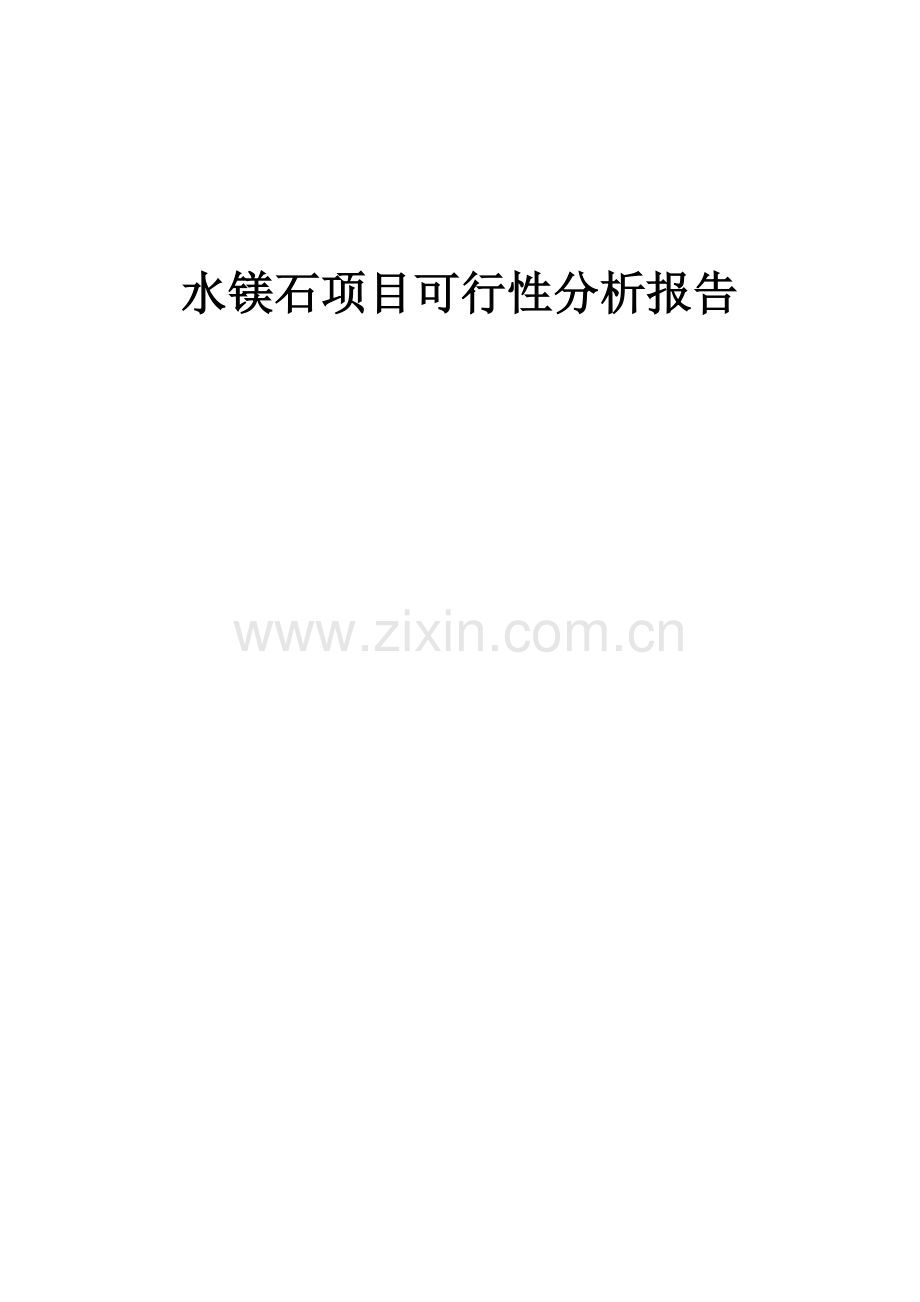 水镁石项目可行性分析报告.docx_第1页