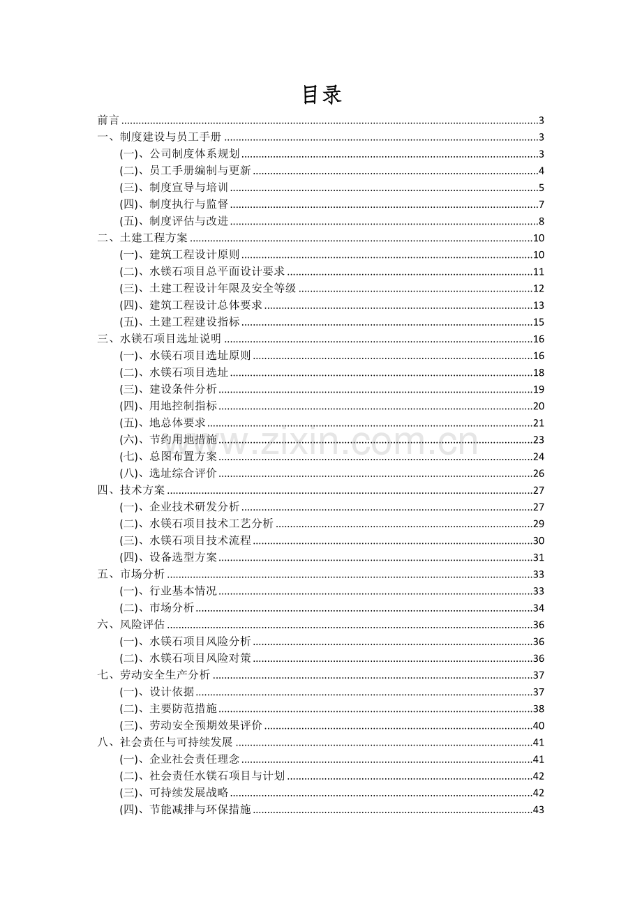 水镁石项目可行性分析报告.docx_第2页