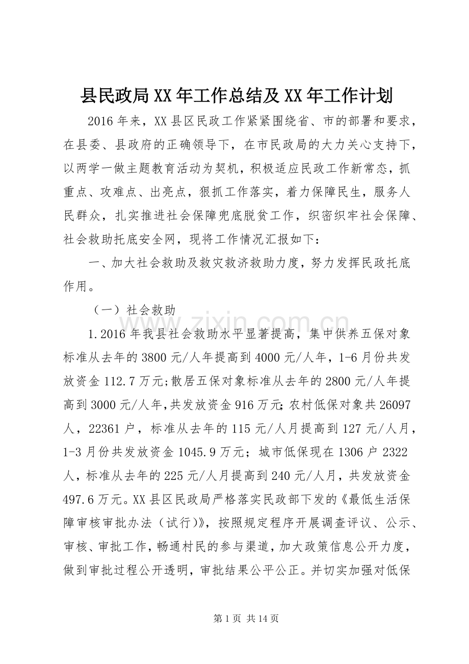 县民政局XX年工作总结及XX年工作计划.docx_第1页