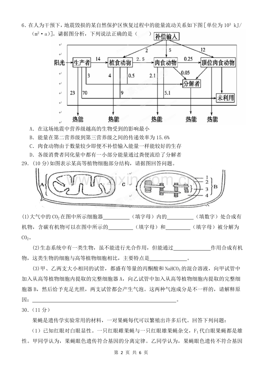 宁夏银川一中2012届高三第一次模拟考试理科综合生物试题.doc_第2页