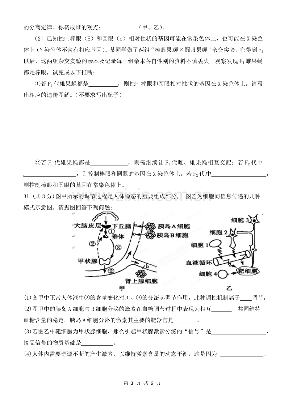 宁夏银川一中2012届高三第一次模拟考试理科综合生物试题.doc_第3页