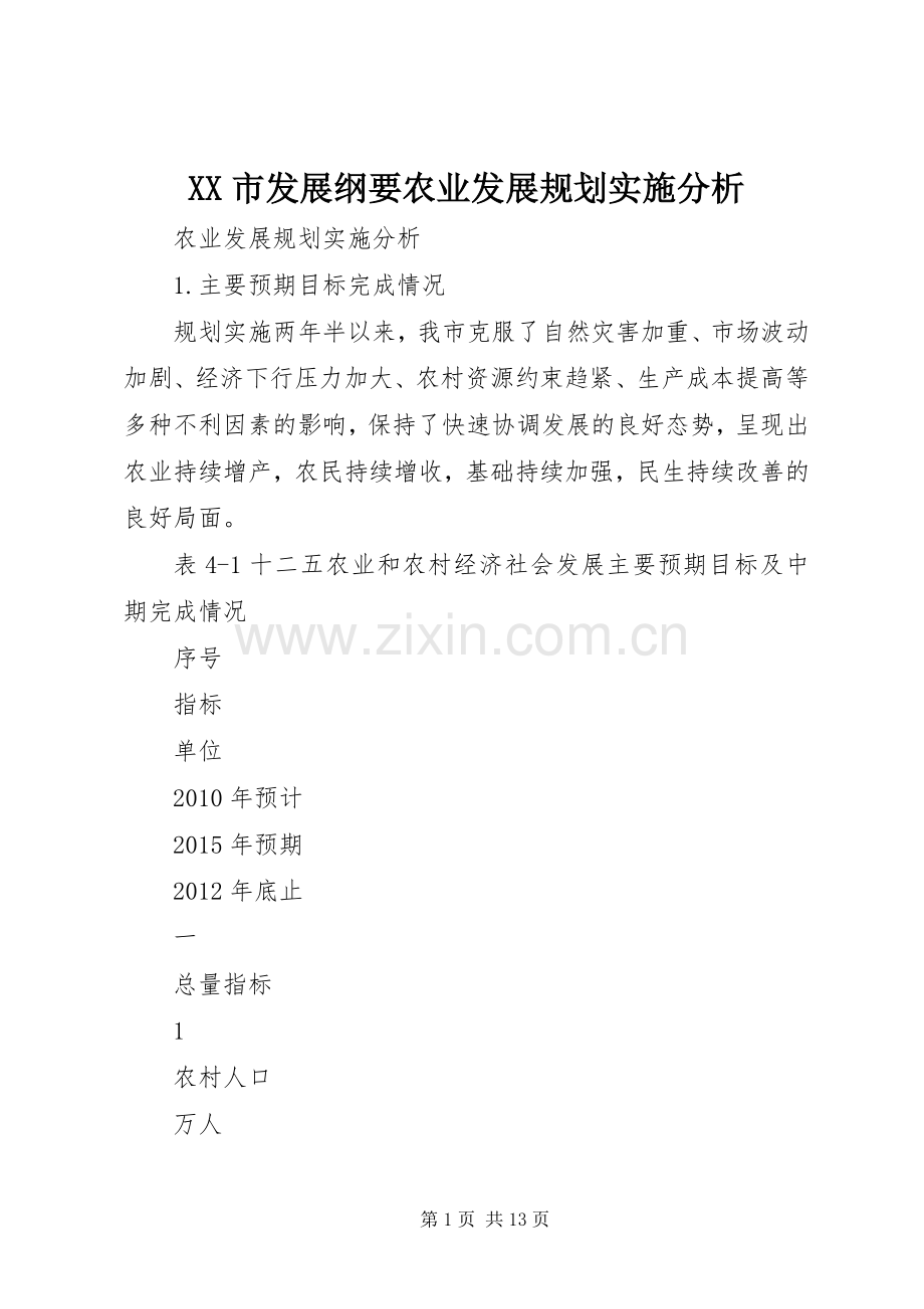 XX市发展纲要农业发展规划实施分析.docx_第1页