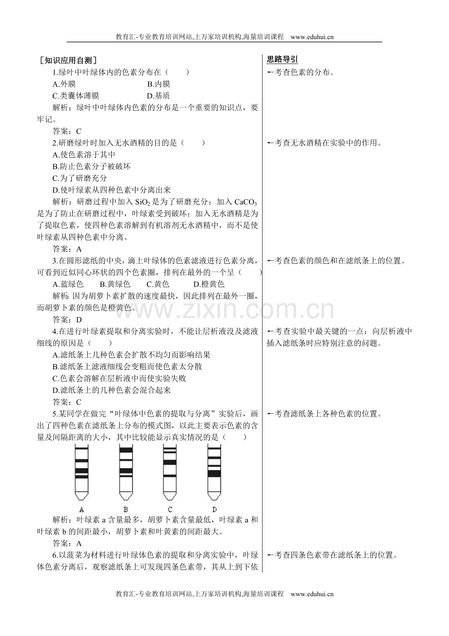 人教新课标高中生物必修一课后测试题（捕获光能的色素和结构）.doc_第1页