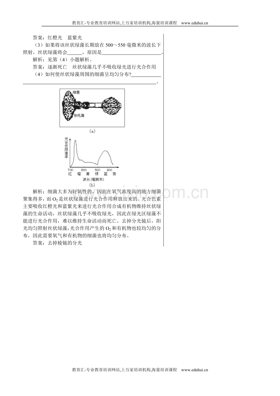 人教新课标高中生物必修一课后测试题（捕获光能的色素和结构）.doc_第3页