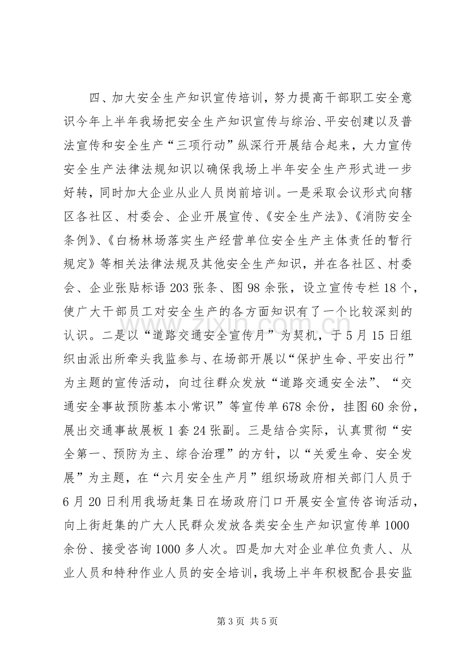 林场上半年安全生产工作总结及下半年工作计划.docx_第3页