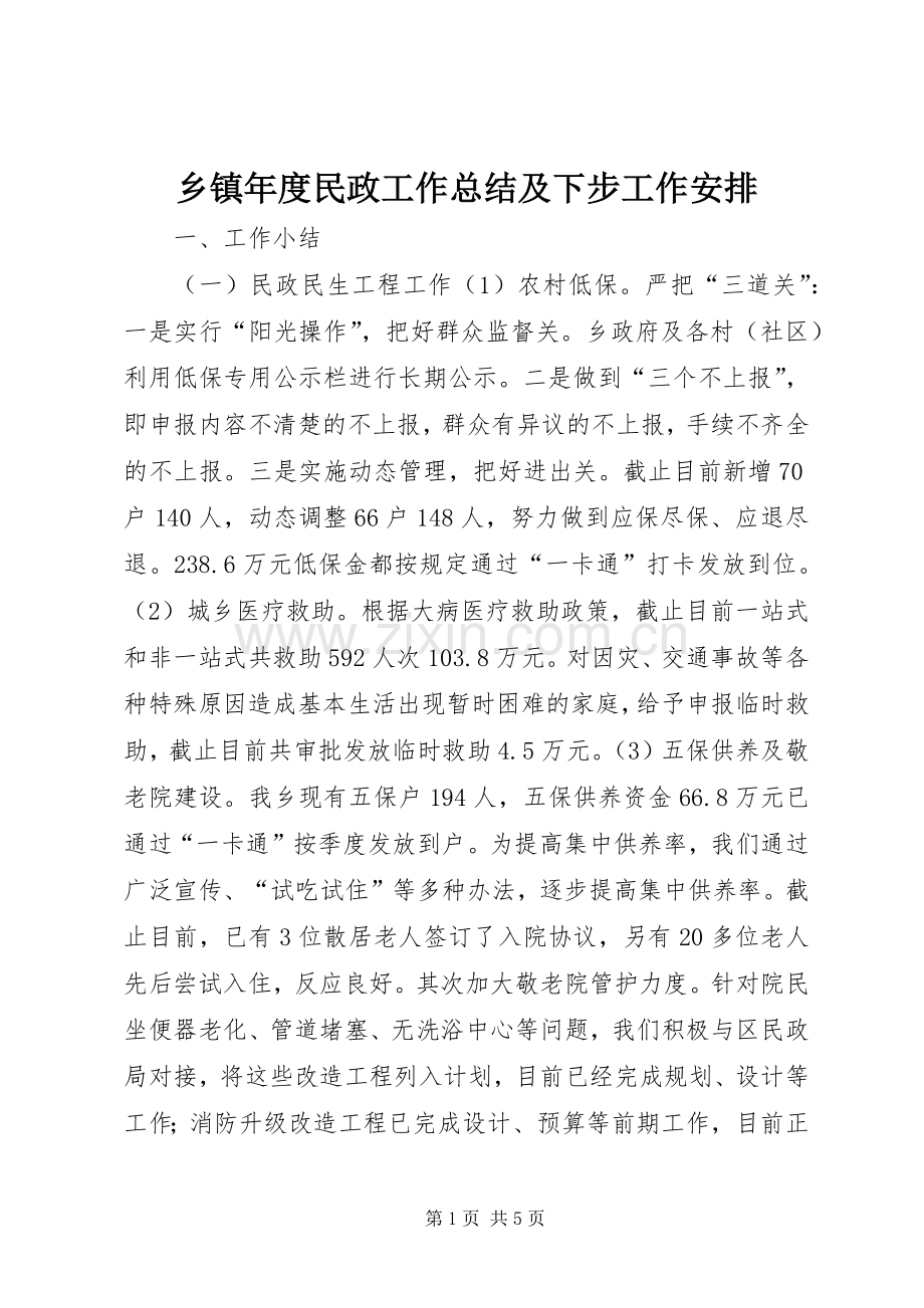 乡镇年度民政工作总结及下步工作安排.docx_第1页