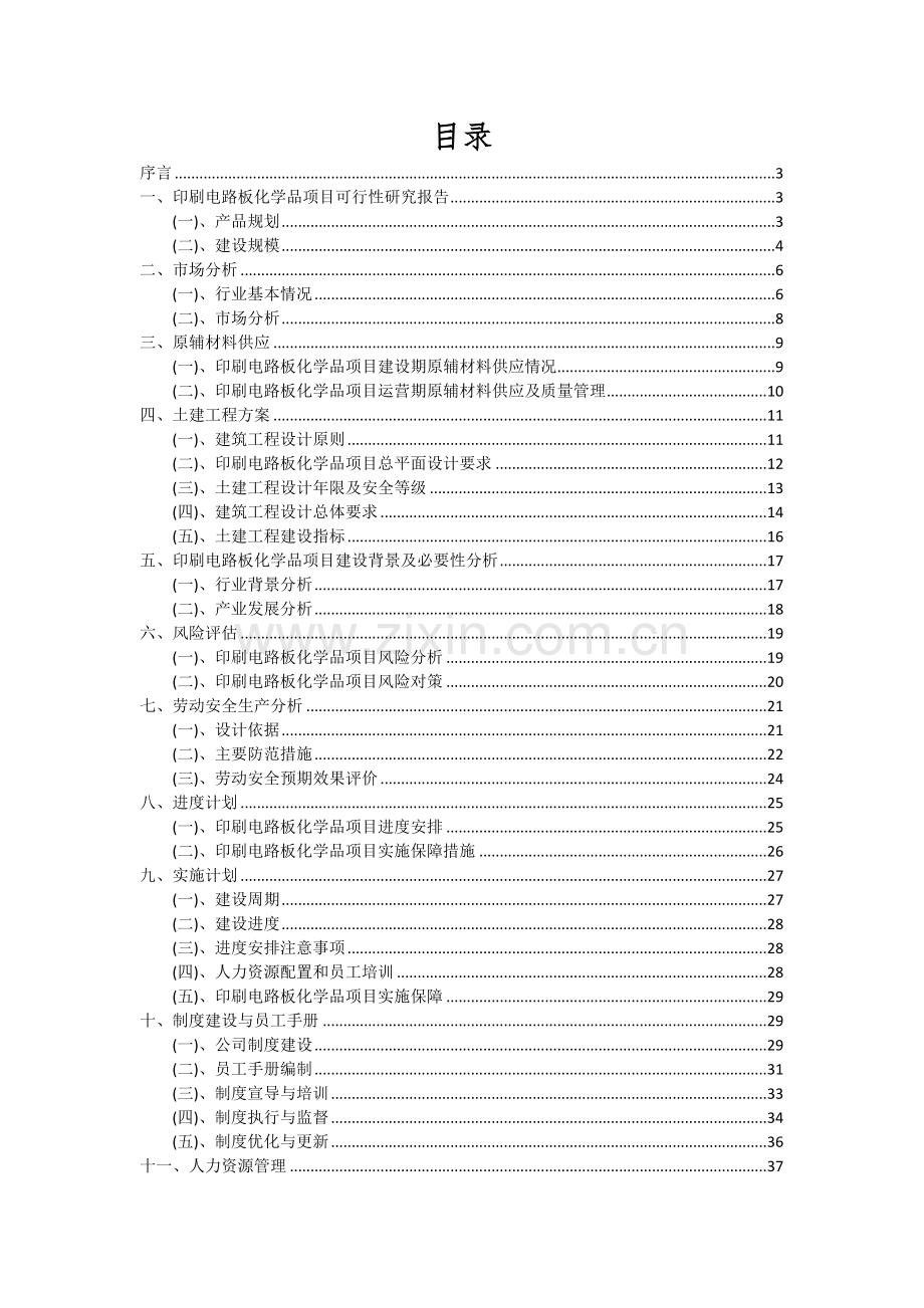 印刷电路板化学品项目可行性分析报告.docx_第2页