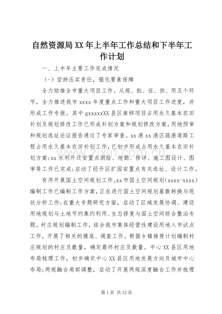 自然资源局XX年上半年工作总结和下半年工作计划.docx_第1页