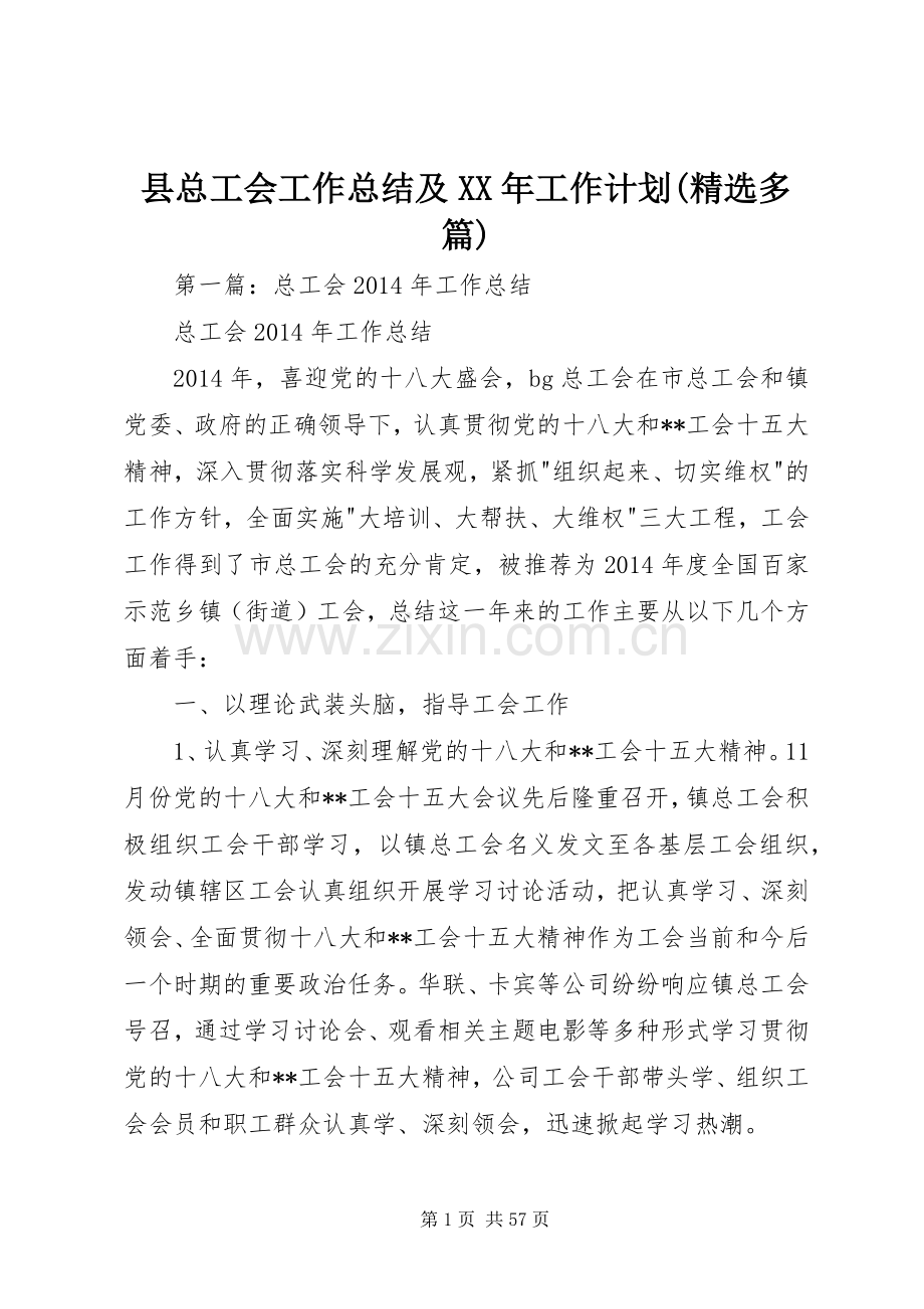 县总工会工作总结及XX年工作计划(多篇).docx_第1页