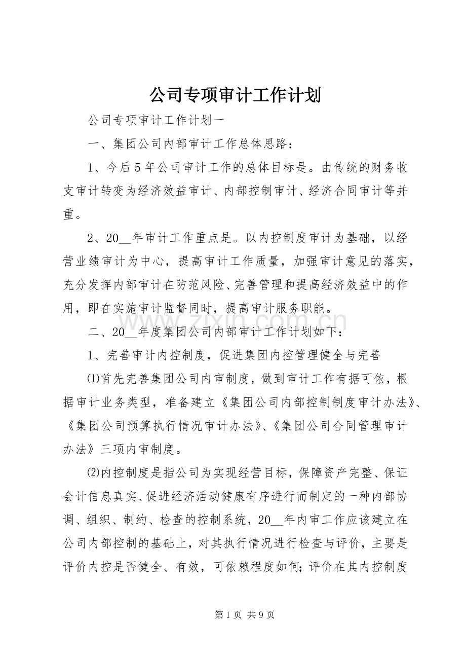 公司专项审计工作计划.docx_第1页