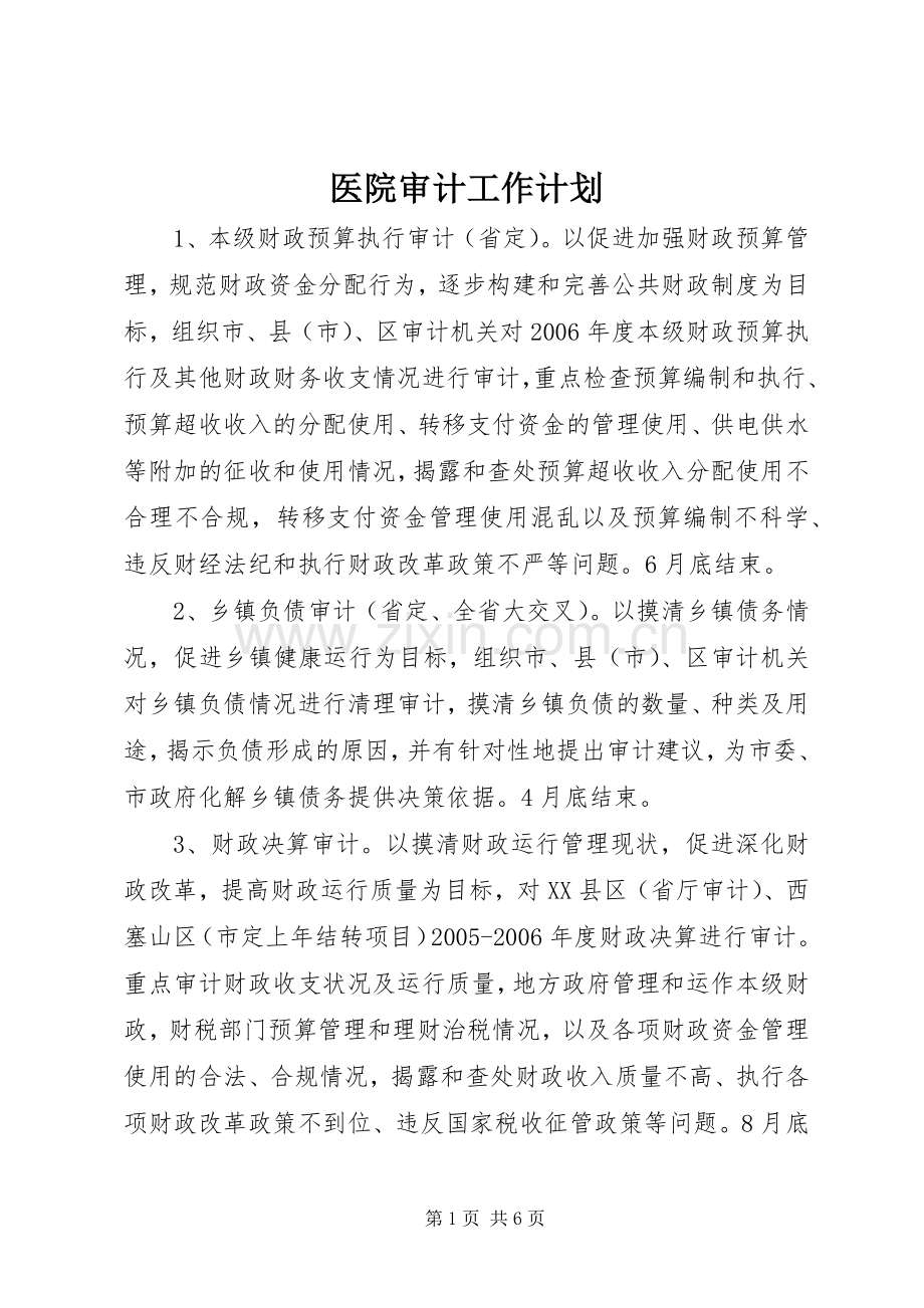 医院审计工作计划.docx_第1页