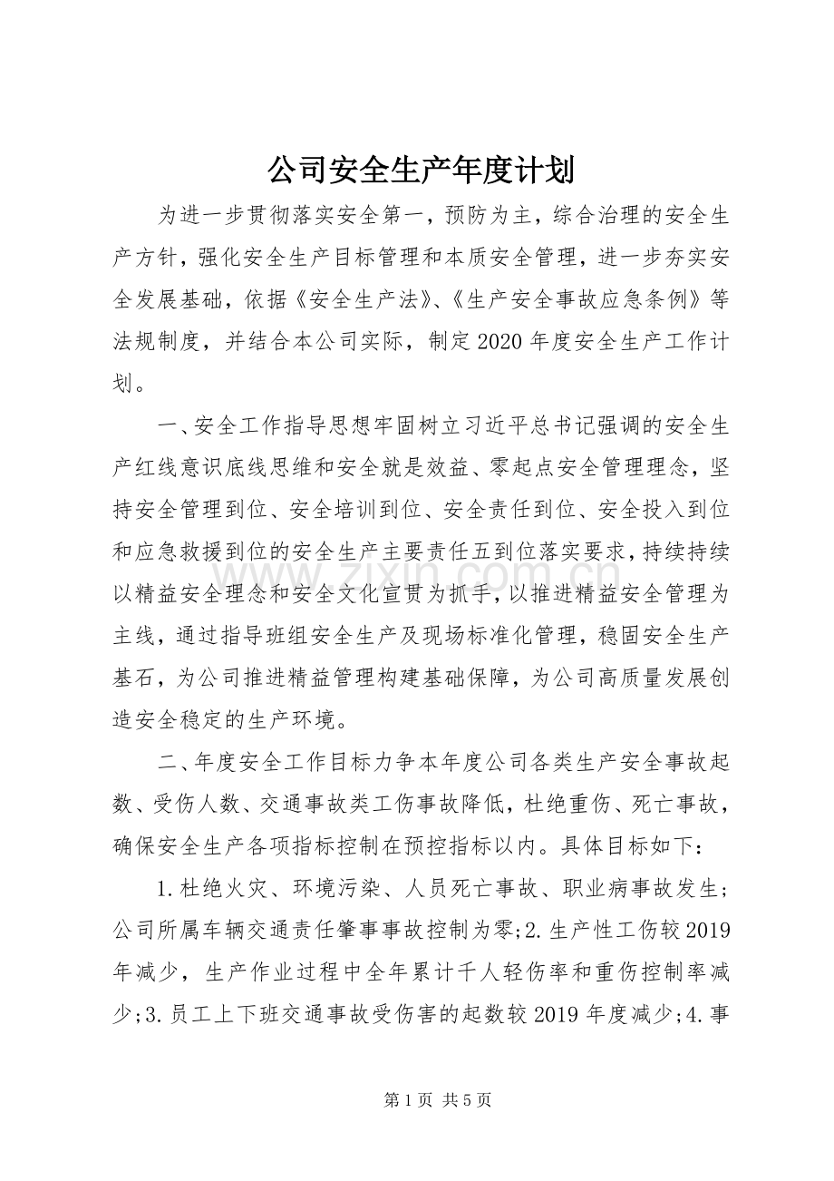 公司安全生产年度计划.docx_第1页