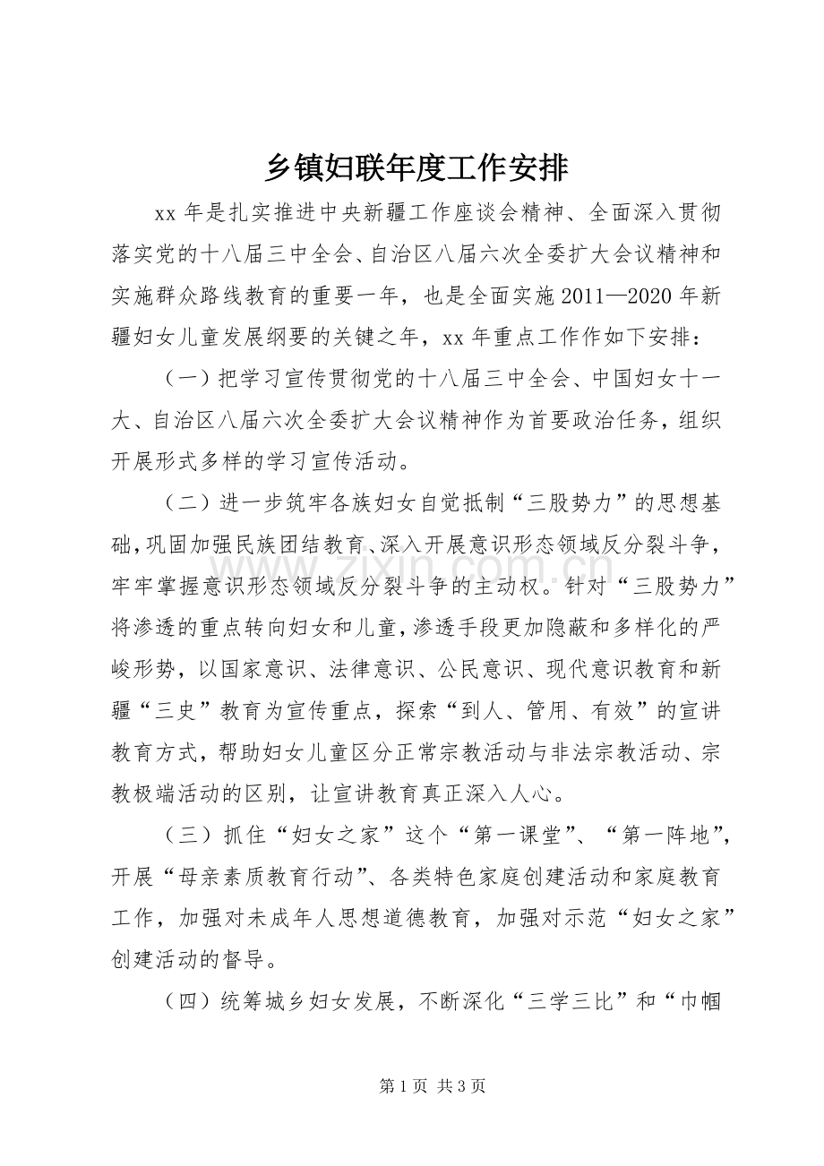 乡镇妇联年度工作安排.docx_第1页